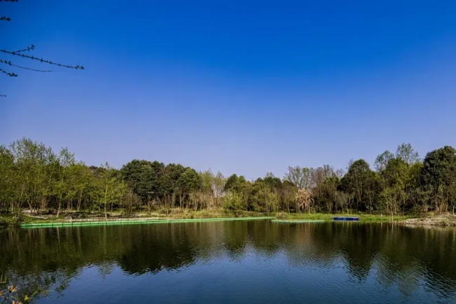 九游娱乐：强化科学修复保护 成都这个“生物多样性宝库”正焕发新生(图1)