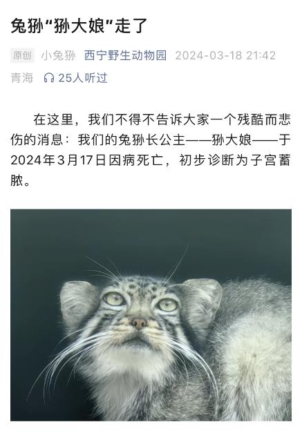 追踪黑脸琵鹭！2024年全球同步普查正逐步开展(图1)