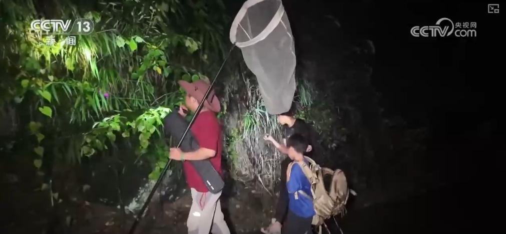 九游娱乐：文化中国行 发现新物种！多样化保护候鸟 维护生物多样性(图13)