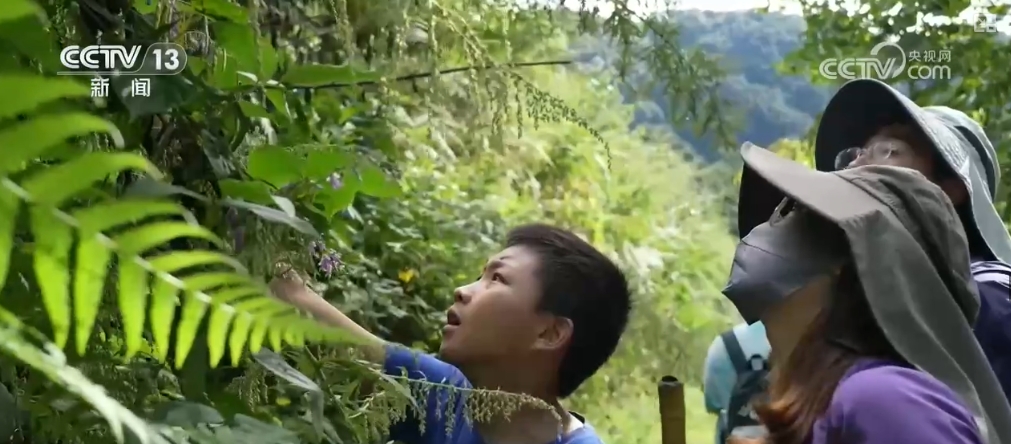 九游娱乐：文化中国行 发现新物种！多样化保护候鸟 维护生物多样性(图17)