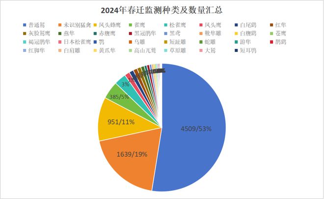 九游娱乐：2024年成都龙泉山春季迁徙猛禽监测晚报(图1)