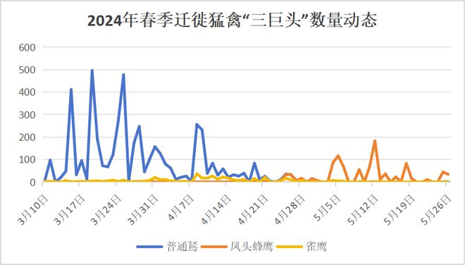 九游娱乐：2024年成都龙泉山春季迁徙猛禽监测晚报(图3)