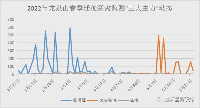 九游娱乐：2024年成都龙泉山春季迁徙猛禽监测晚报(图5)