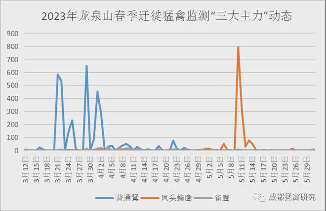 九游娱乐：2024年成都龙泉山春季迁徙猛禽监测晚报(图4)