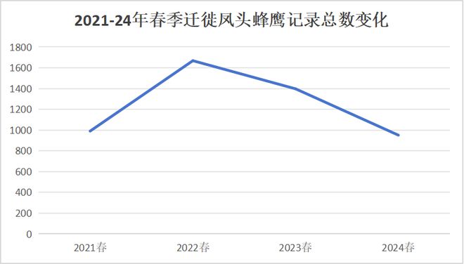 九游娱乐：2024年成都龙泉山春季迁徙猛禽监测晚报(图7)