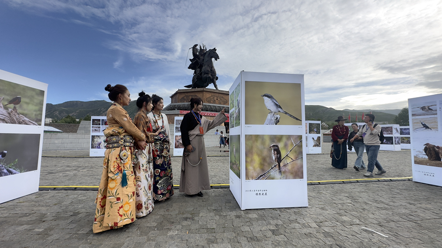 九游娱乐：定格玉树之美 2024第二届中国野生动物摄影大展开幕(图3)