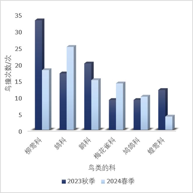 守卫飞翔的自由：【全国防鸟撞行动网络2024年度报告】(图6)