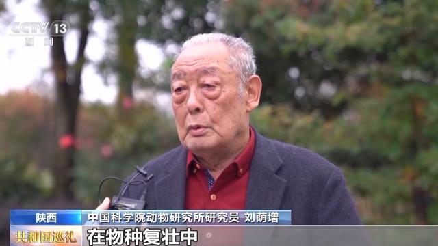 “神奇宝贝”集结完毕快来听“秦岭四宝”的趣味故事！(图9)