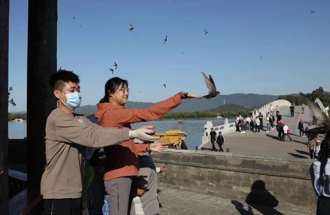 惊艳定格！一起来认识这些飞羽精灵(图1)