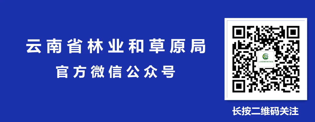 云南省分布的有重要生态、科学、社会价值的陆生野生动物名录(图2)