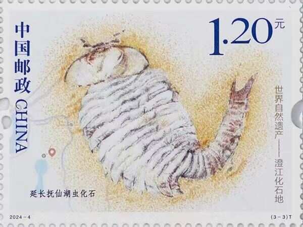 聚焦人与自然和谐共生2024全球熊猫伙伴大会开幕(图1)