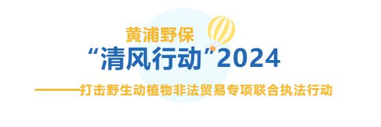 违法销售野生保护动物？黄浦“清风行动2024”对这些行为说“不”！(图1)