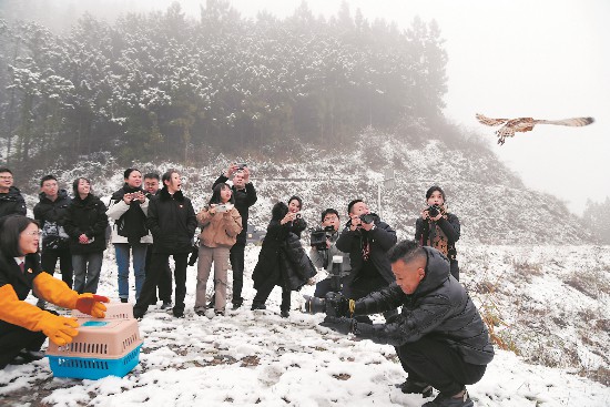 野生动植物保护成果斐然珍稀物种种群持续增长(图1)