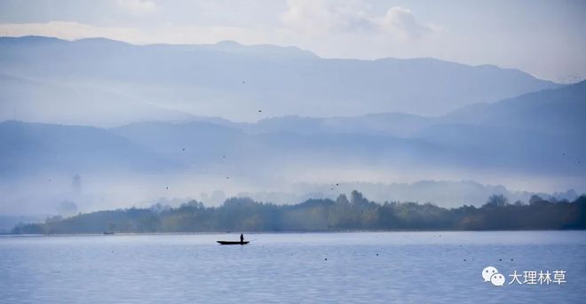 大理州去年查办野生动植物案件538件处理329人(图1)