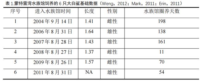 无法囚禁的鲨鱼——大白鲨的水族馆养殖史(图3)