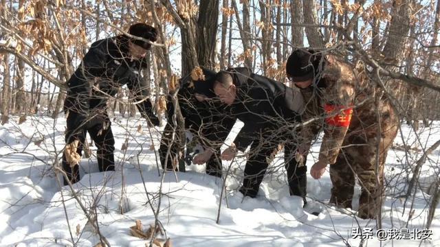 北安：“巡山清套”守护野生动物安全(图2)