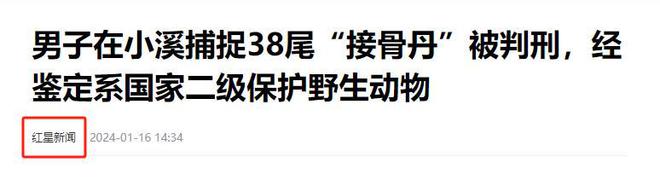 2024年甘肃查获38条鱼干鉴定为“接骨丹”晒鱼干为何罚款判刑(图3)