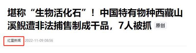 2024年甘肃查获38条鱼干鉴定为“接骨丹”晒鱼干为何罚款判刑(图8)