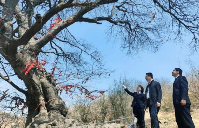 同题报道]山东日照：发挥检察职能筑牢城市生态底色(图4)