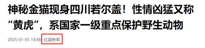 四川发现“黄虎”是“森林战神”全国动物园仅豢养2到3只(图3)